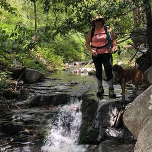 Meet your Posher, Shelbi